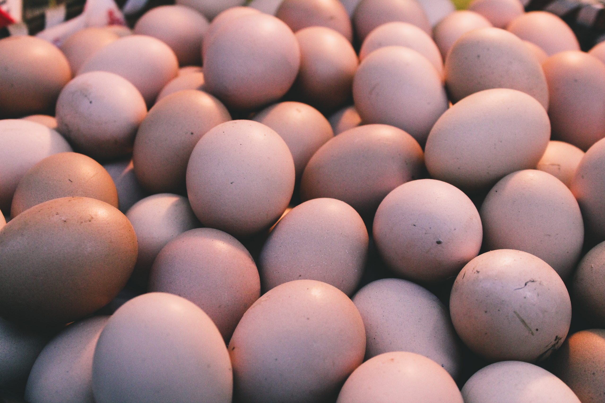 Est-ce que les œufs sont mauvais pour le cholestérol ?